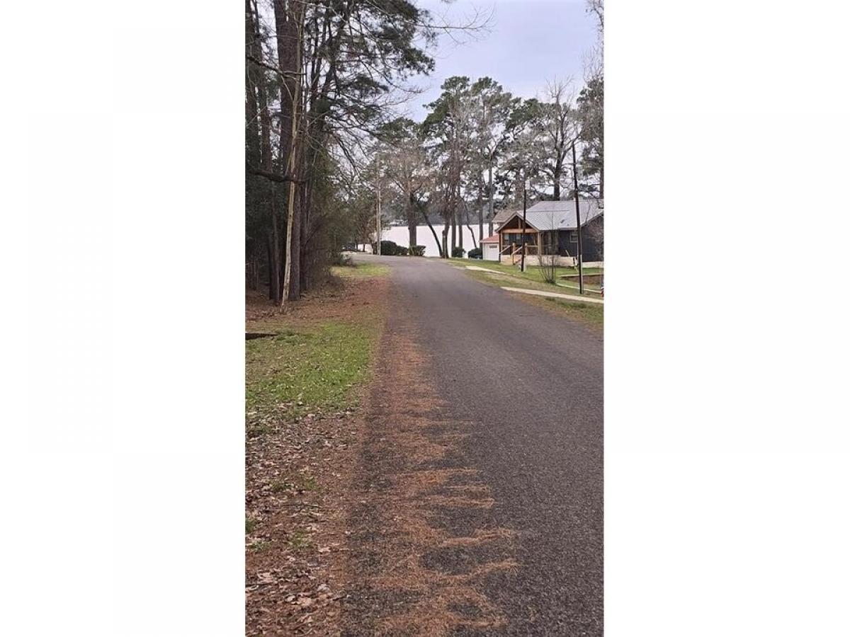 Picture of Residential Land For Sale in Point Blank, Texas, United States