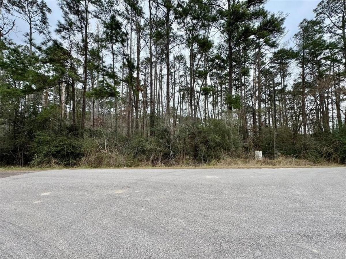 Picture of Residential Land For Sale in Onalaska, Texas, United States