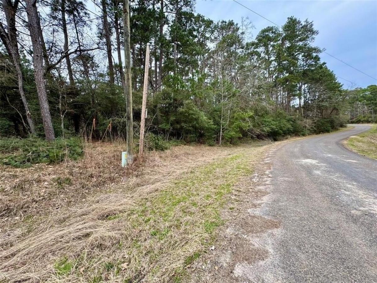 Picture of Residential Land For Sale in Onalaska, Texas, United States