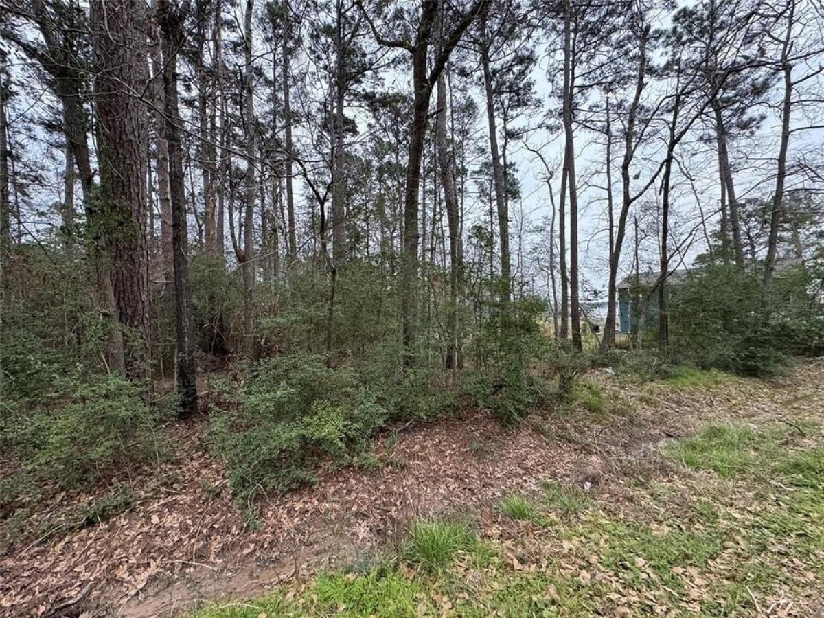Picture of Residential Land For Sale in Onalaska, Texas, United States
