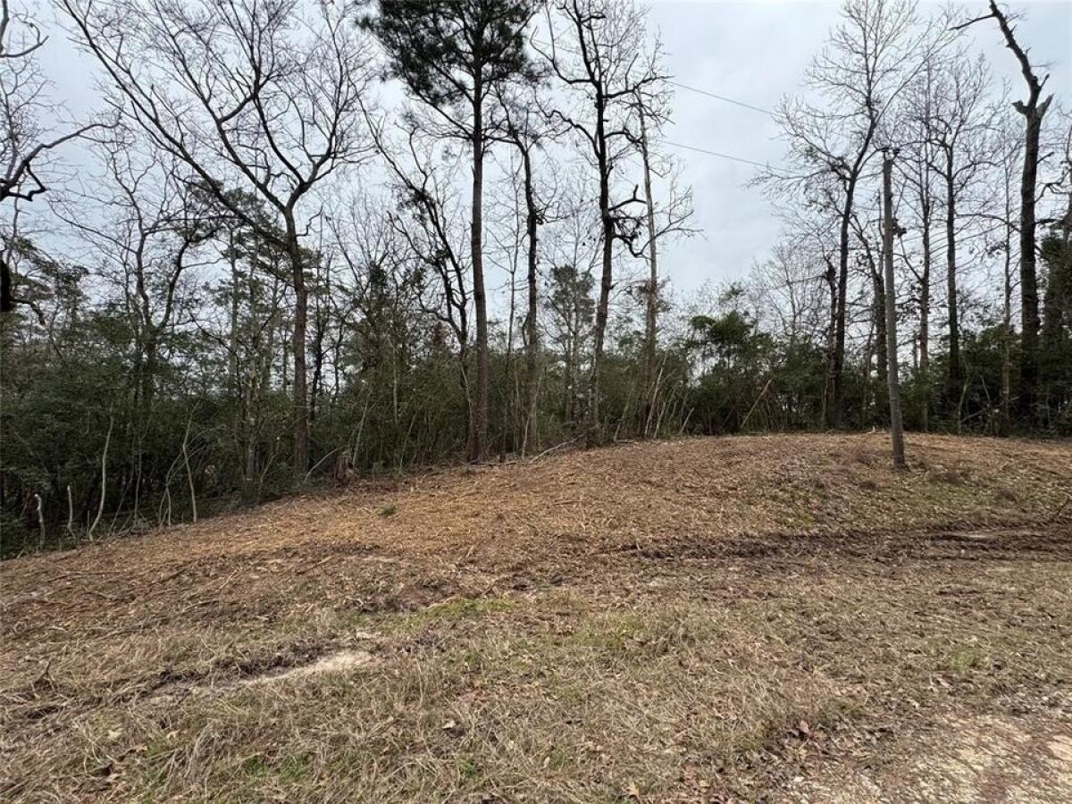 Picture of Residential Land For Sale in Onalaska, Texas, United States