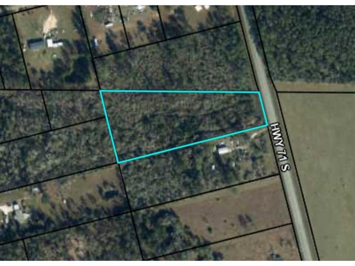 Picture of Residential Land For Sale in Wewahitchka, Florida, United States