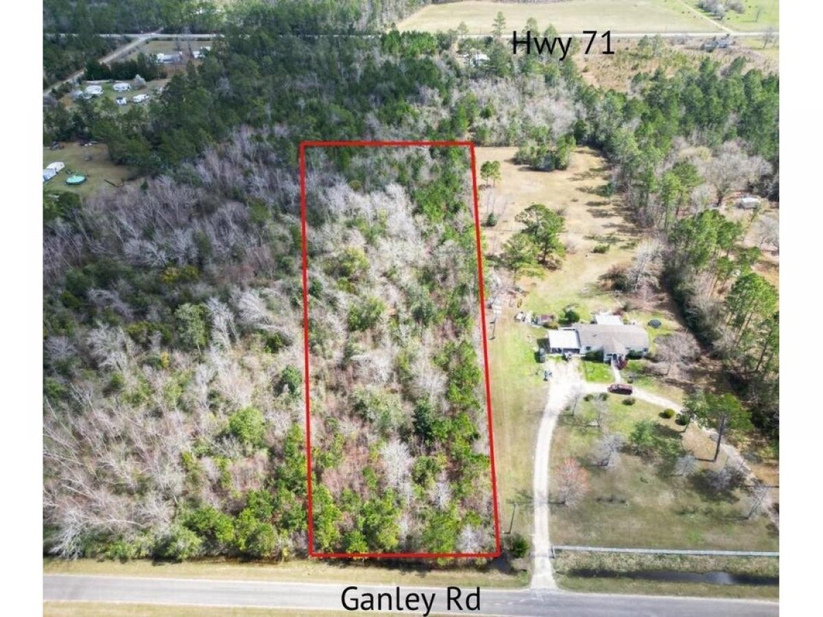 Picture of Residential Land For Sale in Wewahitchka, Florida, United States