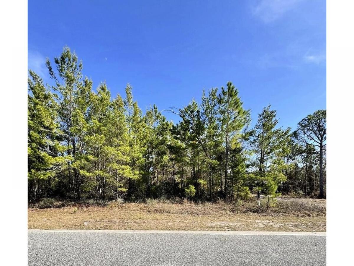 Picture of Residential Land For Sale in Carrabelle, Florida, United States