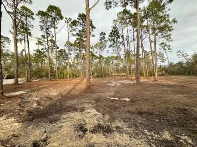 Residential Land For Sale in Port Saint Joe, Florida