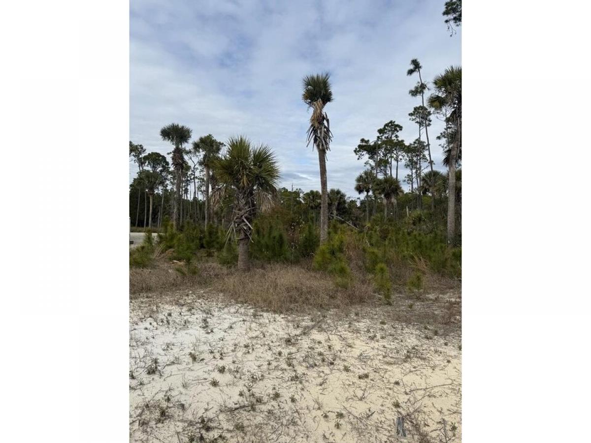 Picture of Residential Land For Sale in Port Saint Joe, Florida, United States