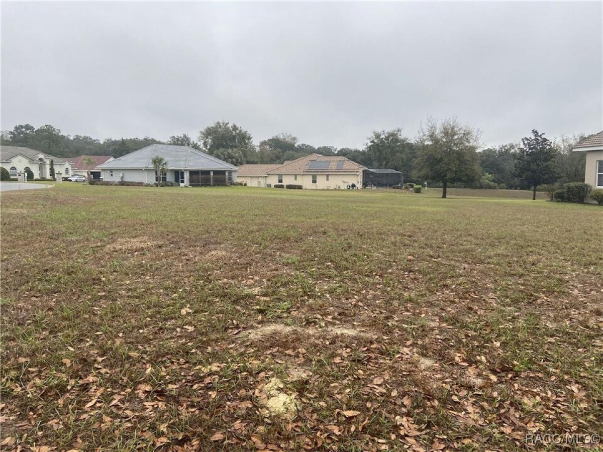 Picture of Residential Land For Sale in Hernando, Florida, United States