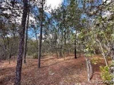 Residential Land For Sale in Homosassa, Florida