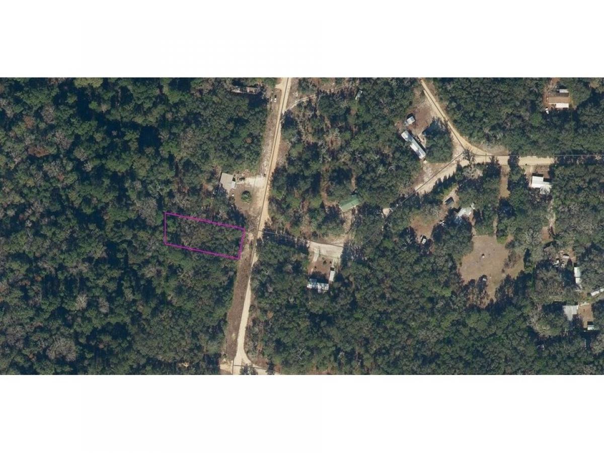 Picture of Residential Land For Rent in Interlachen, Florida, United States