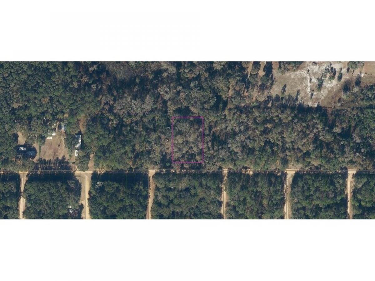 Picture of Residential Land For Rent in Interlachen, Florida, United States