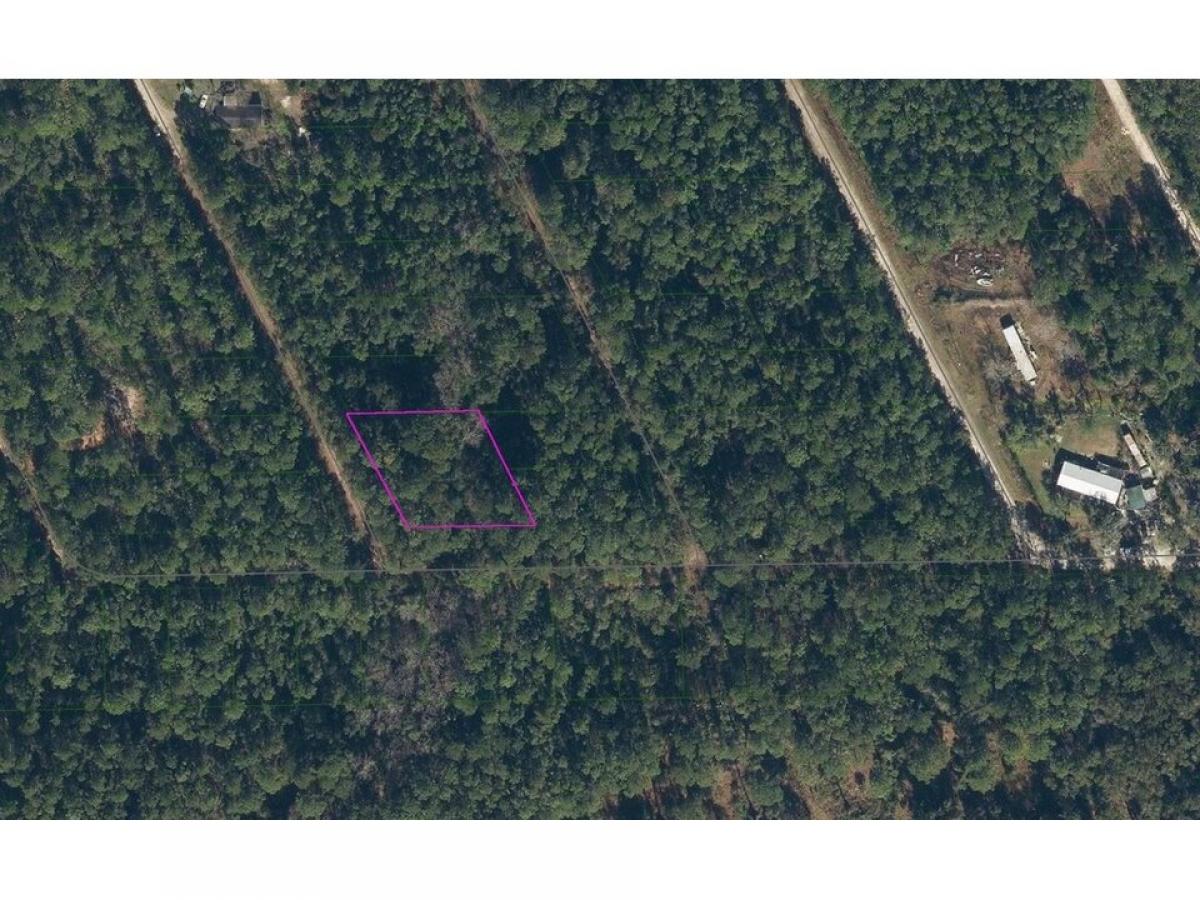 Picture of Residential Land For Rent in Satsuma, Florida, United States