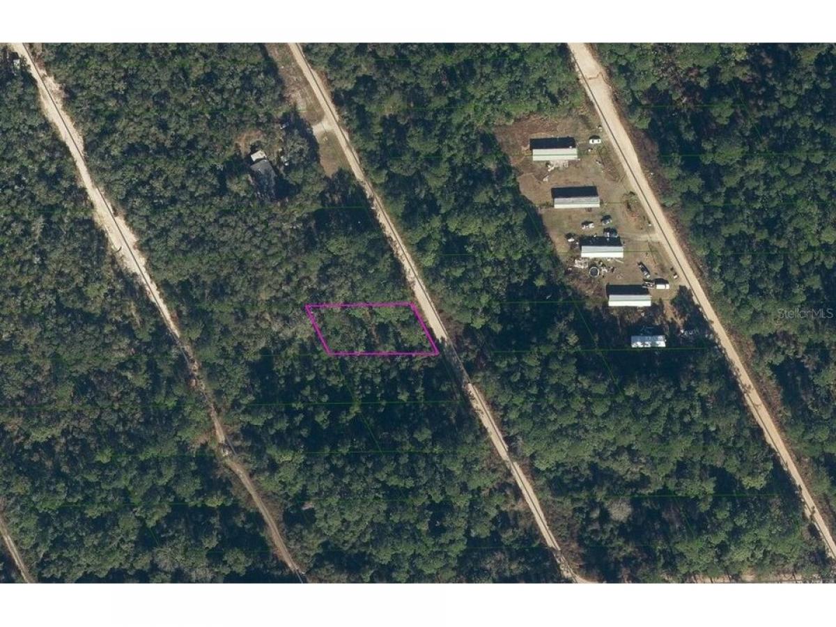 Picture of Residential Land For Rent in Satsuma, Florida, United States