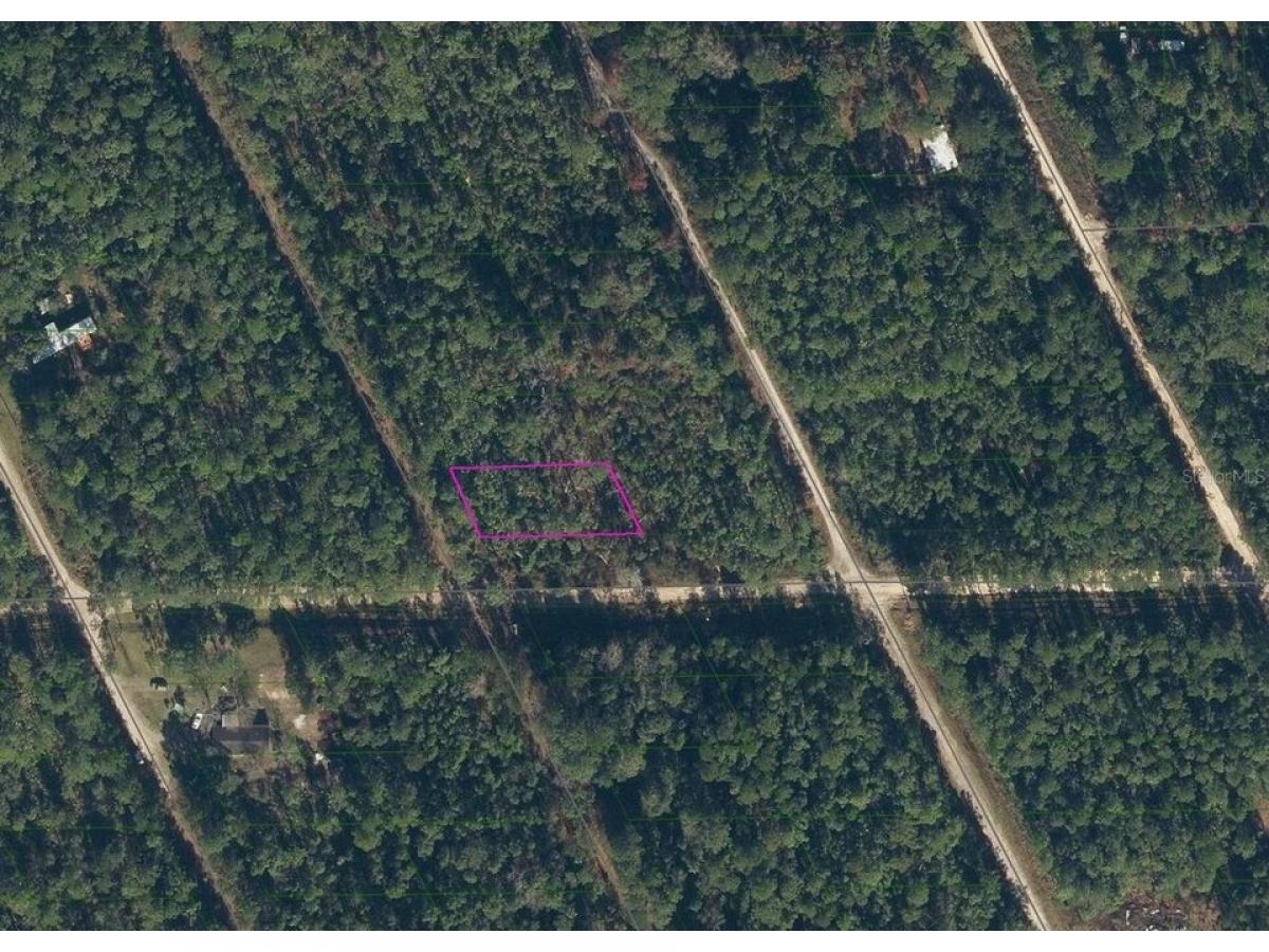 Picture of Residential Land For Rent in Satsuma, Florida, United States