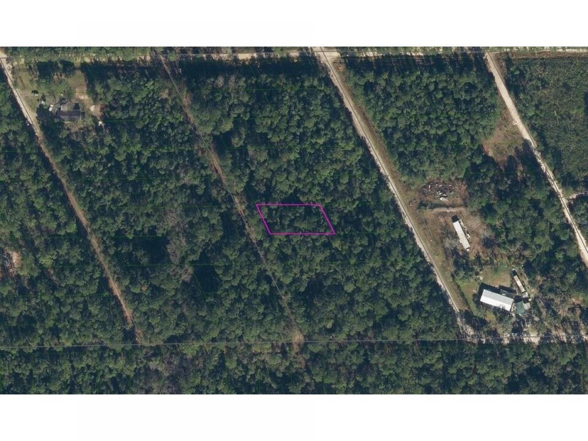 Picture of Residential Land For Rent in Satsuma, Florida, United States
