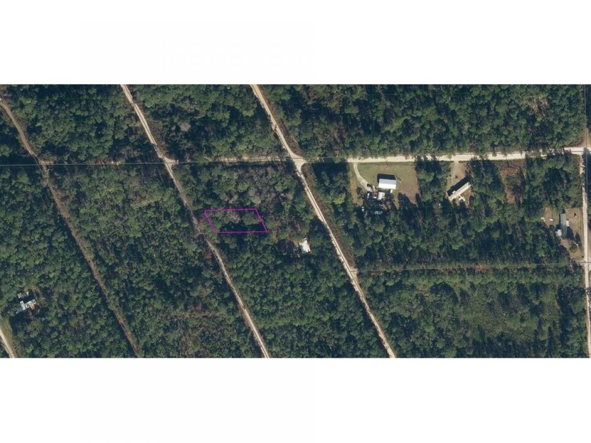 Picture of Residential Land For Rent in Satsuma, Florida, United States