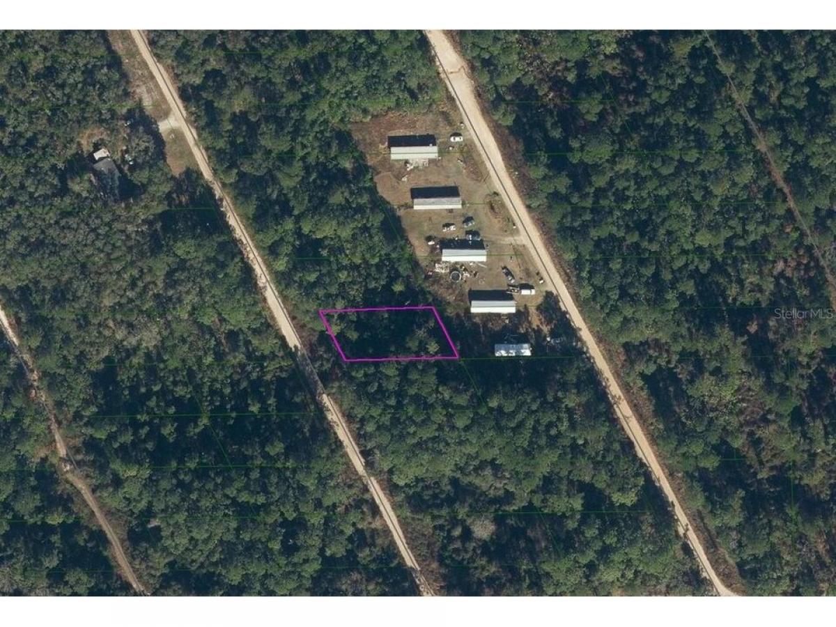 Picture of Residential Land For Rent in Satsuma, Florida, United States
