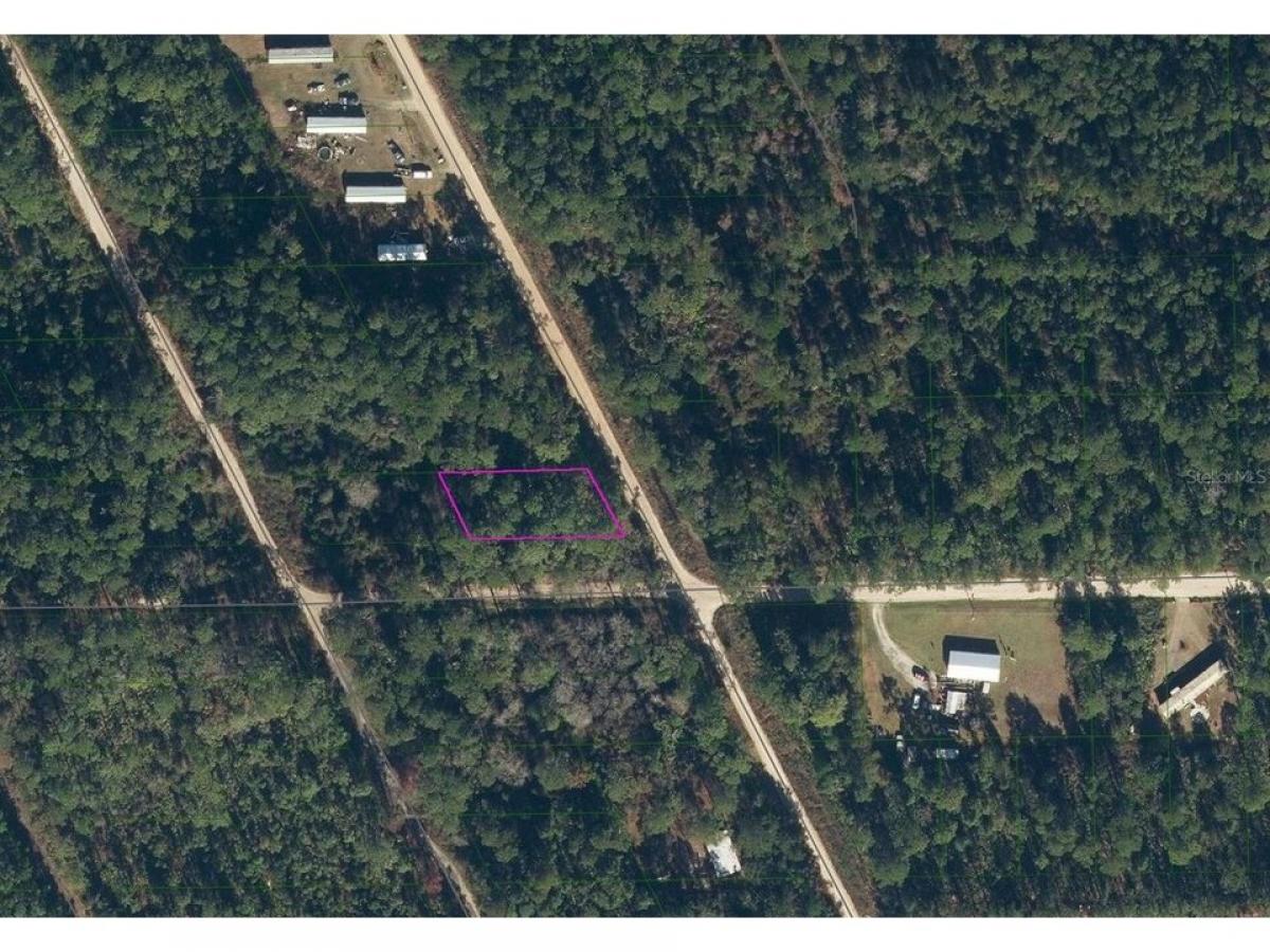 Picture of Residential Land For Rent in Satsuma, Florida, United States