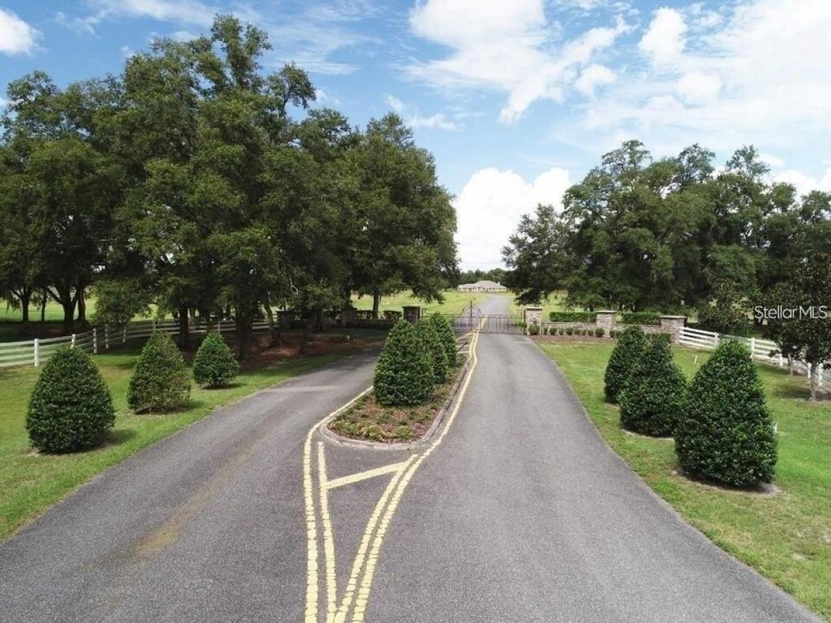 Picture of Residential Land For Sale in Morriston, Florida, United States