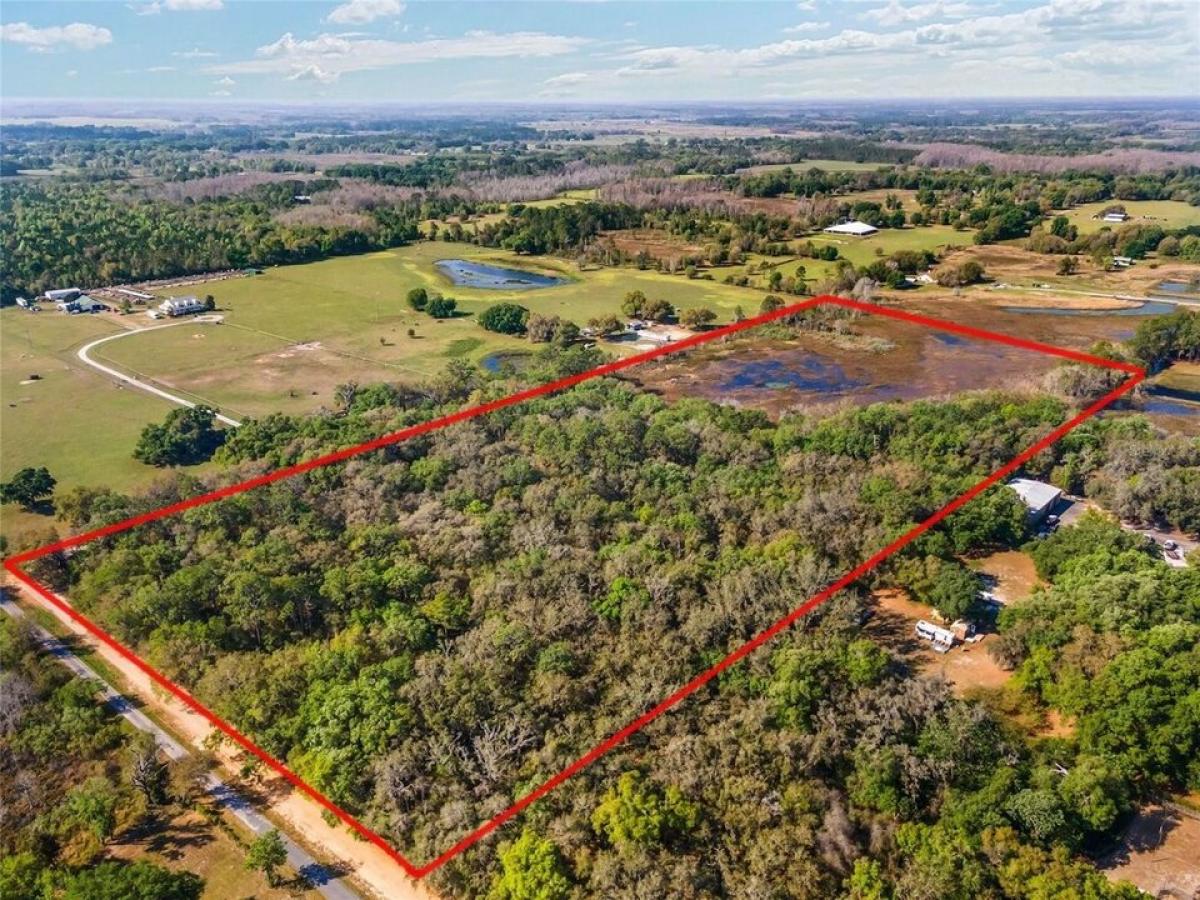 Picture of Residential Land For Sale in Groveland, Florida, United States