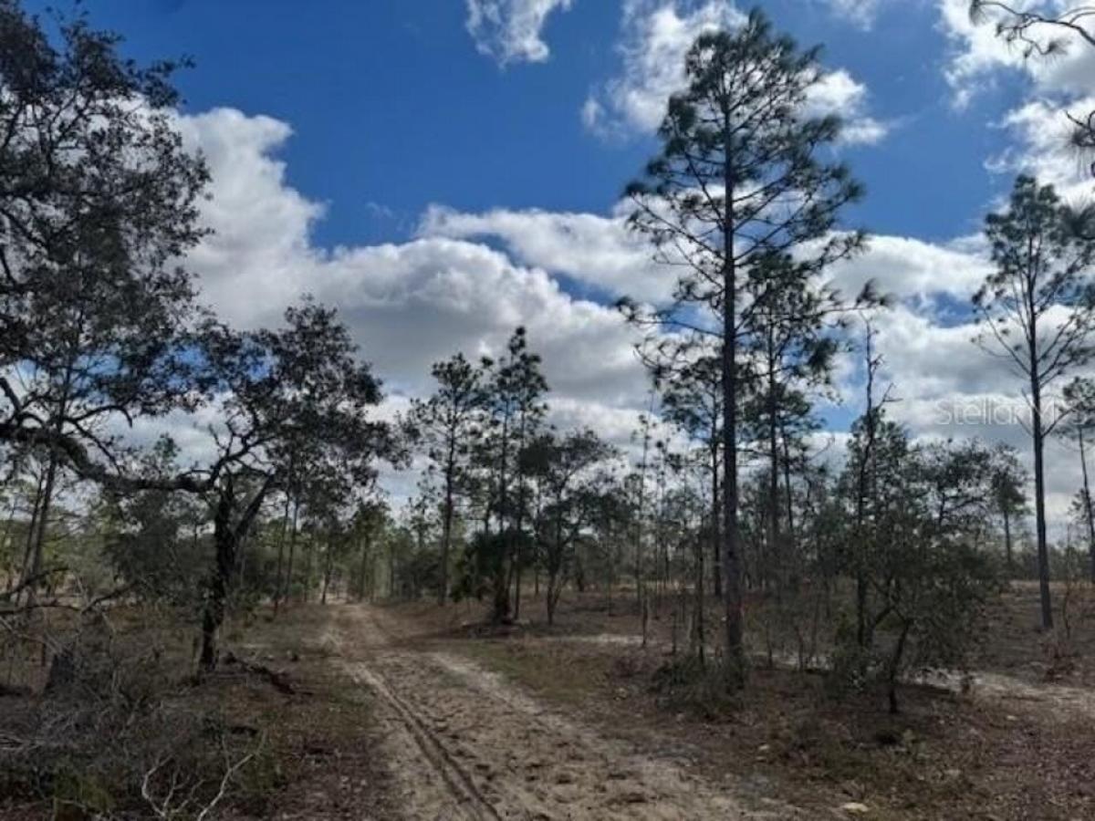 Picture of Residential Land For Sale in Morriston, Florida, United States