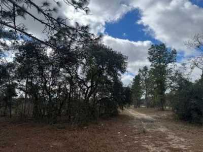 Residential Land For Sale in Morriston, Florida