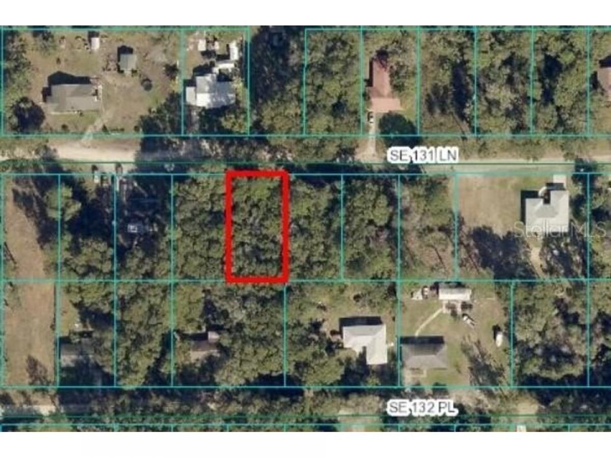 Picture of Residential Land For Sale in Belleview, Florida, United States