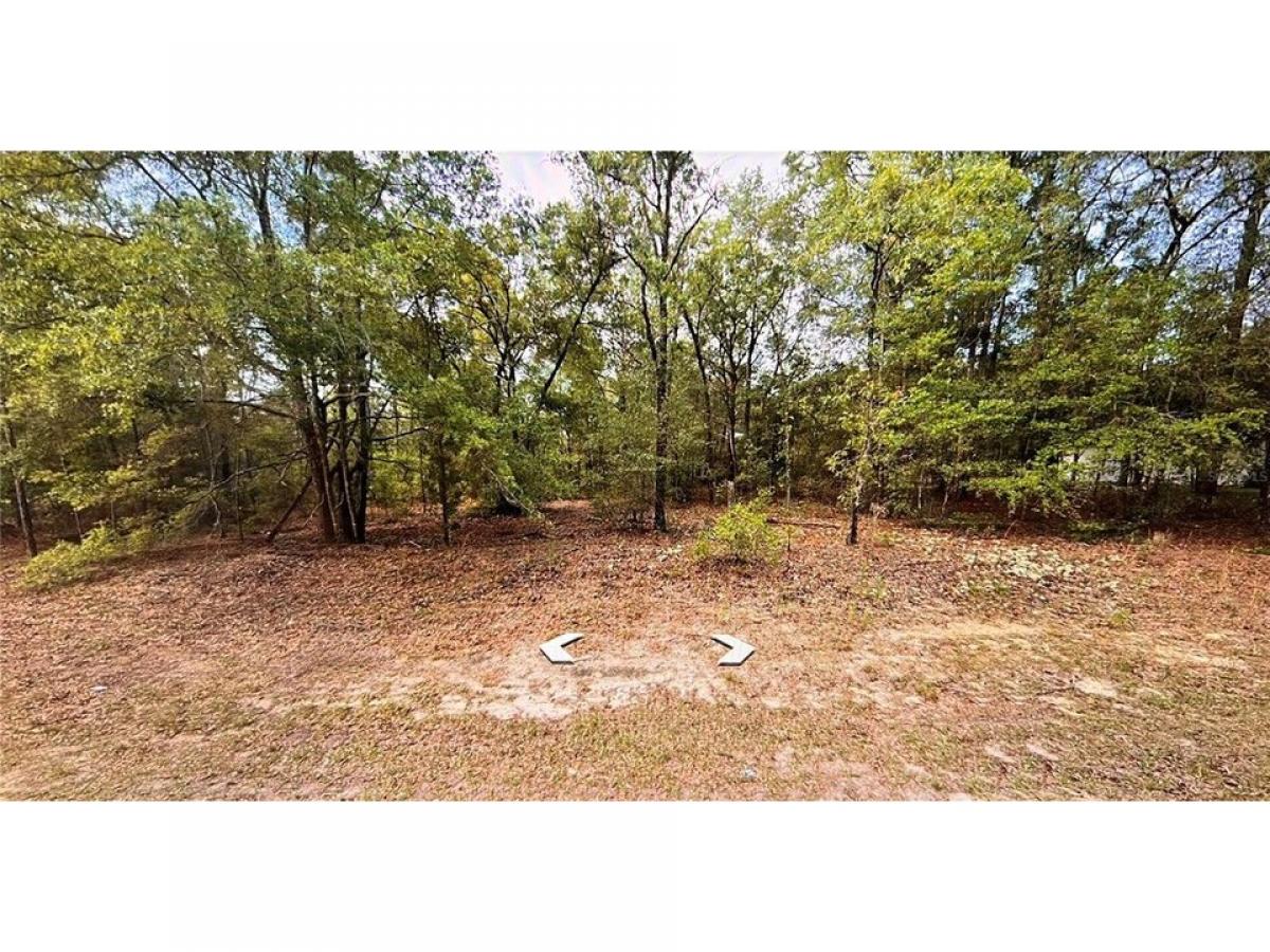 Picture of Residential Land For Sale in Beverly Hills, Florida, United States