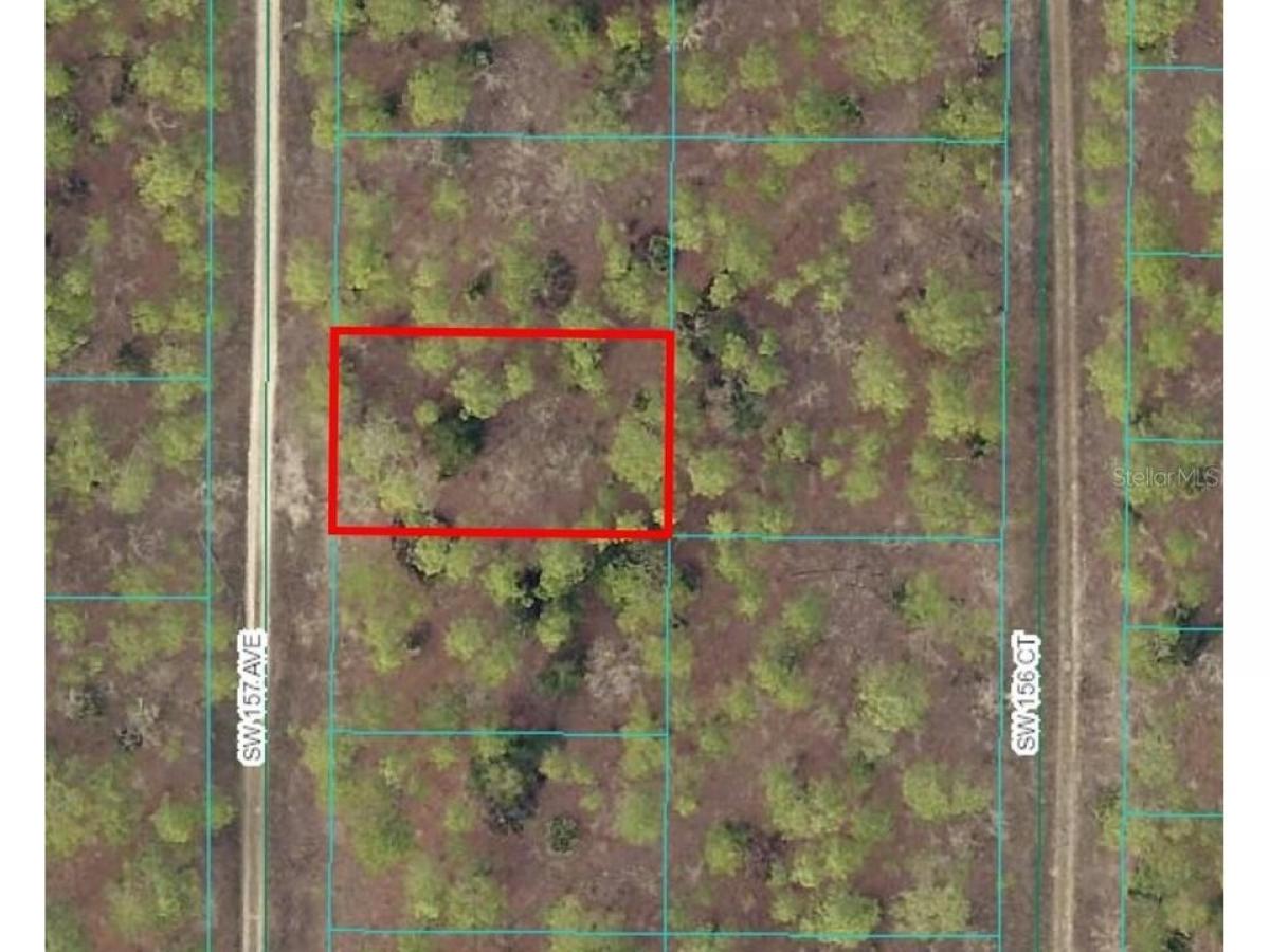 Picture of Residential Land For Sale in Ocala, Florida, United States