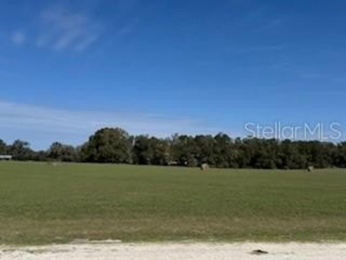 Picture of Residential Land For Sale in Citra, Florida, United States