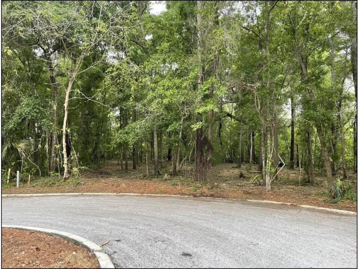 Picture of Residential Land For Sale in Ocala, Florida, United States