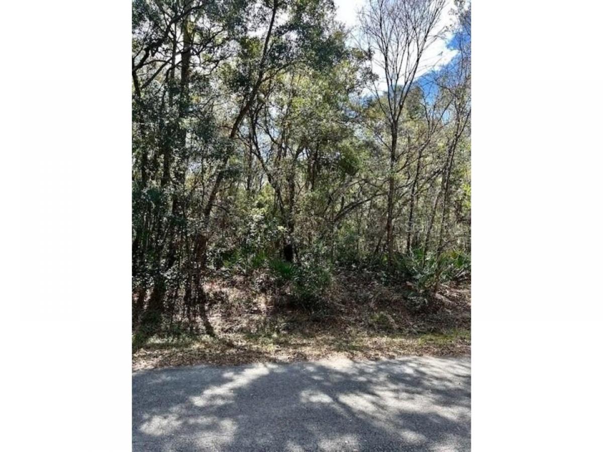 Picture of Residential Land For Sale in Ocala, Florida, United States