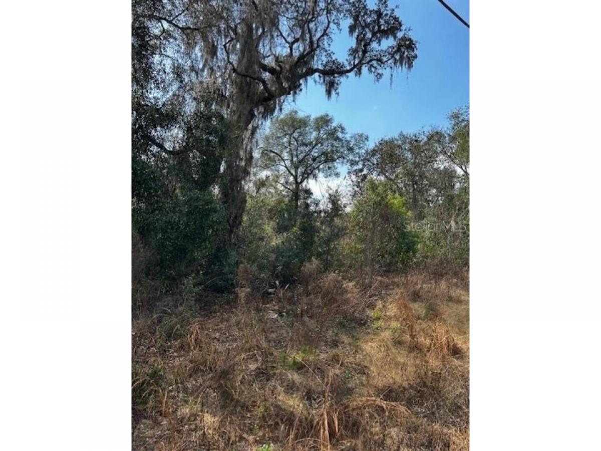 Picture of Residential Land For Sale in Ocala, Florida, United States