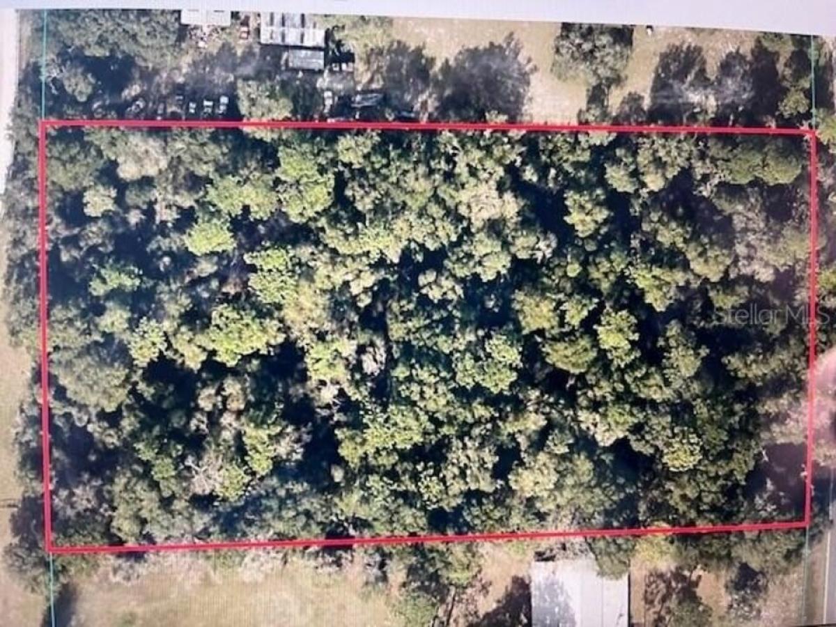 Picture of Residential Land For Sale in Summerfield, Florida, United States