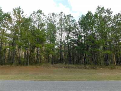 Residential Land For Sale in Williston, Florida