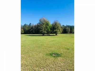 Residential Land For Sale in Morriston, Florida
