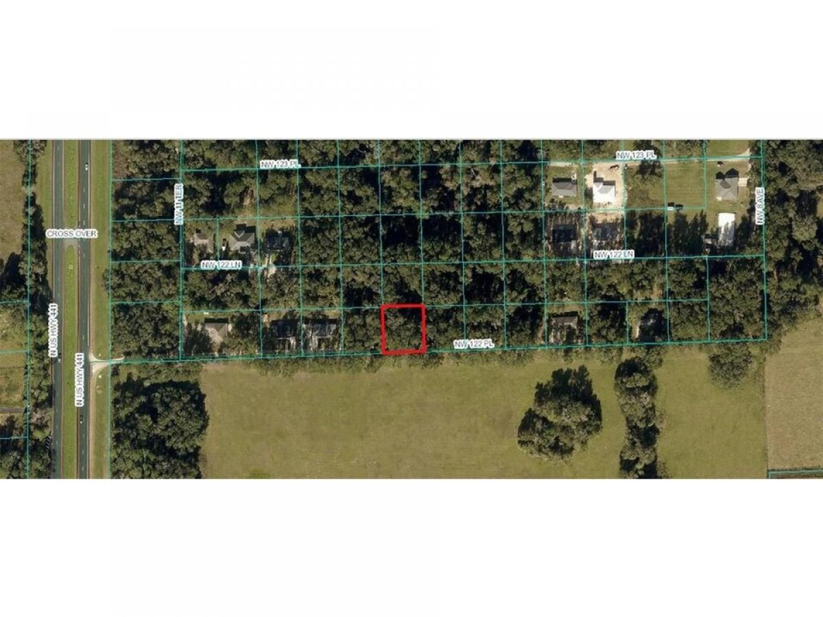 Picture of Residential Land For Sale in Citra, Florida, United States