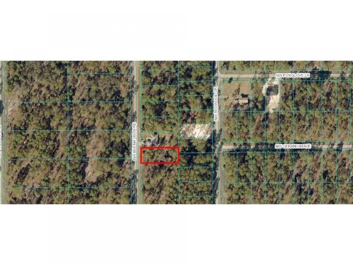 Picture of Residential Land For Sale in Dunnellon, Florida, United States