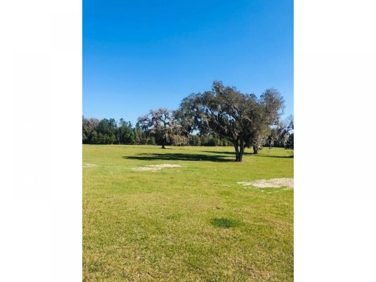 Picture of Residential Land For Sale in Morriston, Florida, United States