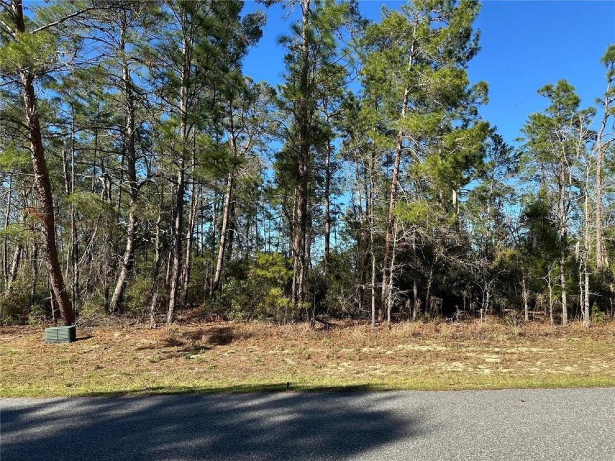 Picture of Residential Land For Sale in Ocala, Florida, United States