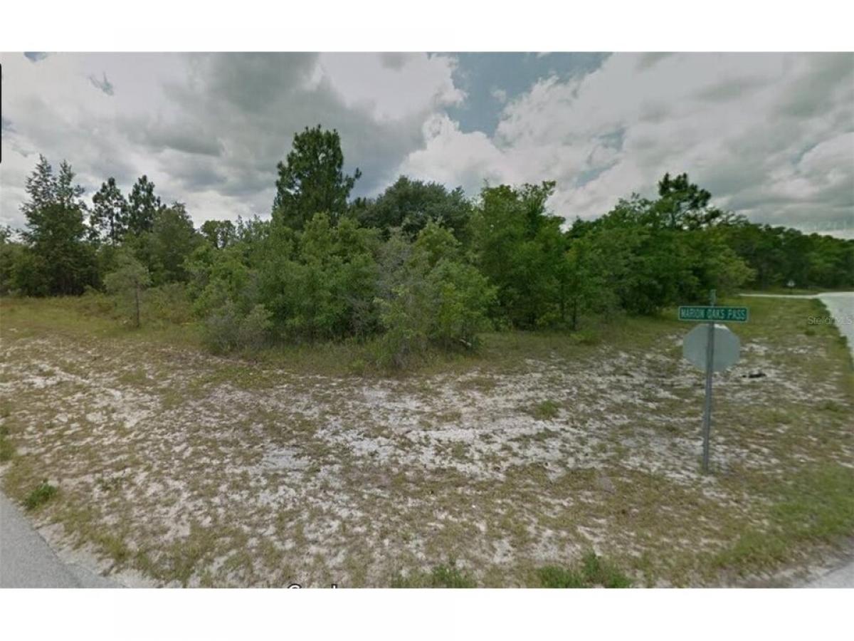 Picture of Residential Land For Sale in Ocala, Florida, United States