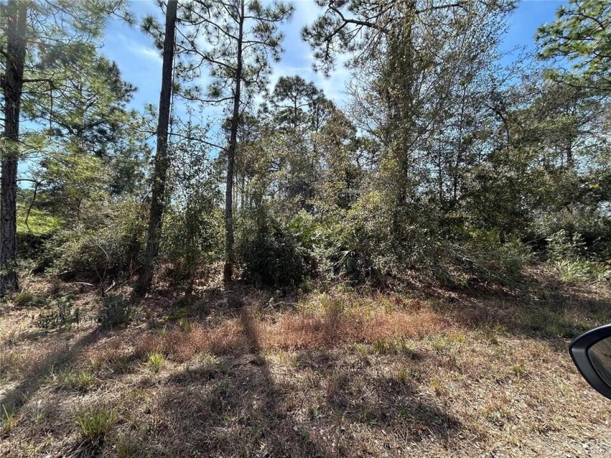 Picture of Residential Land For Sale in Lake Placid, Florida, United States
