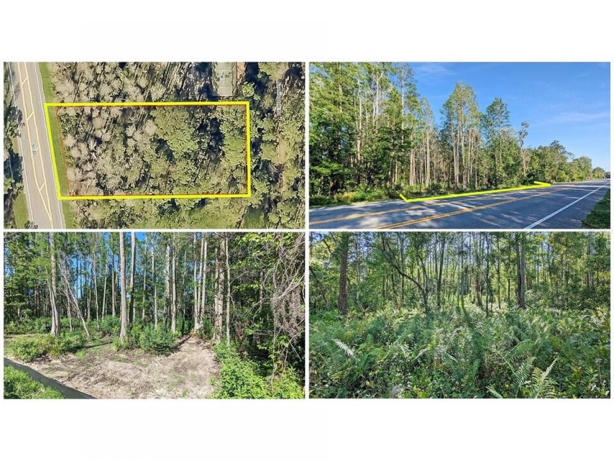 Picture of Residential Land For Sale in Clermont, Florida, United States