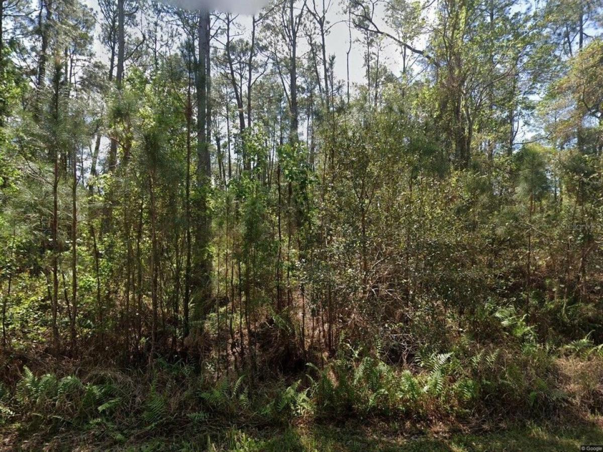 Picture of Residential Land For Sale in Georgetown, Florida, United States
