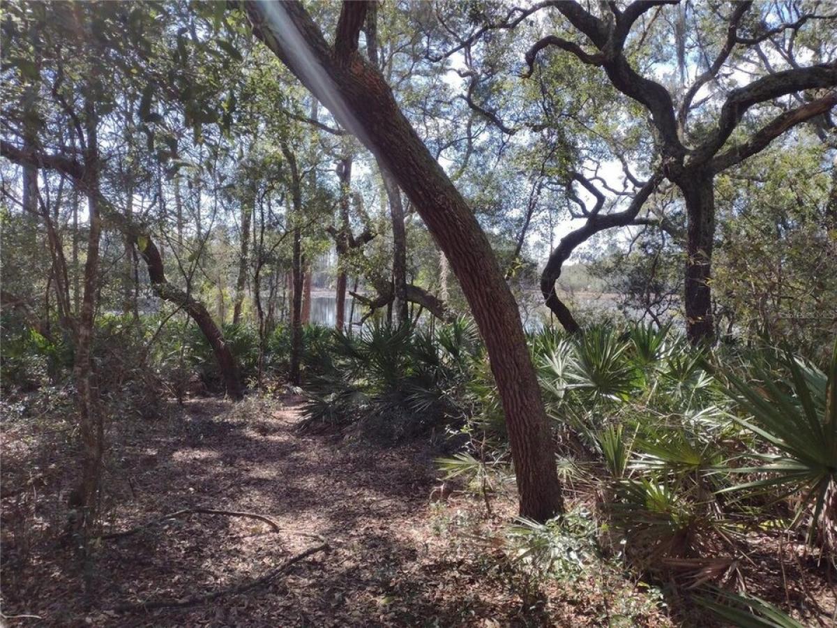 Picture of Residential Land For Sale in Melrose, Florida, United States