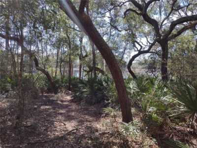Residential Land For Sale in Melrose, Florida