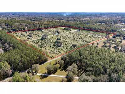 Home For Sale in Reddick, Florida