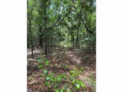 Residential Land For Sale in Earleton, Florida
