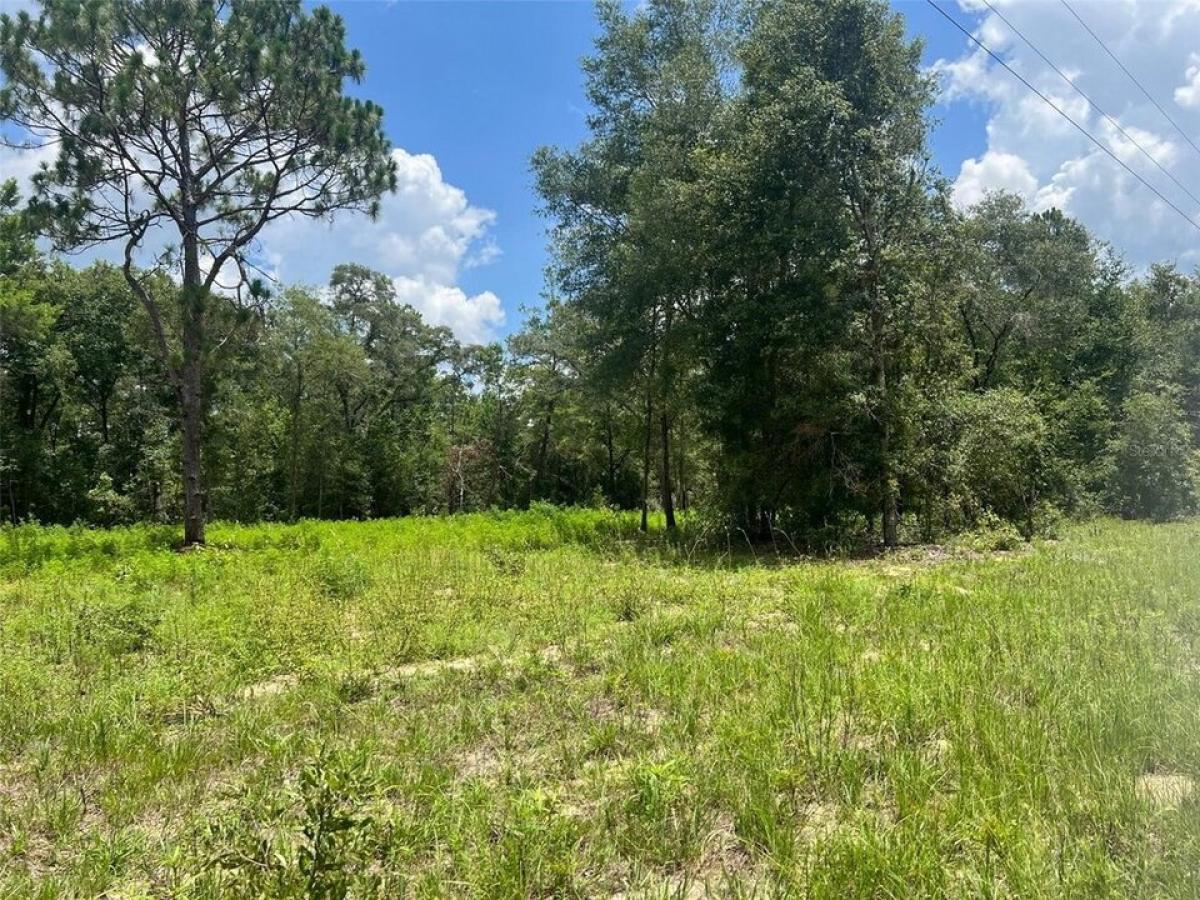 Picture of Residential Land For Sale in Bronson, Florida, United States