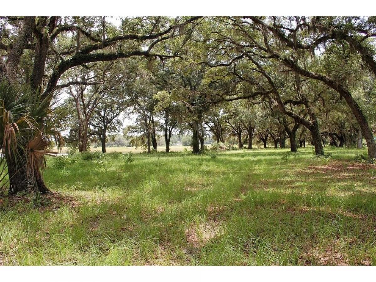Picture of Residential Land For Sale in Melrose, Florida, United States