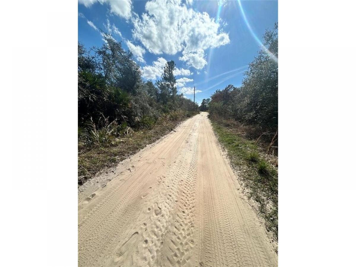 Picture of Residential Land For Sale in Altoona, Florida, United States